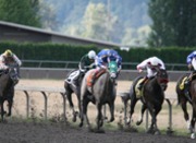 Emerald Downs 2014